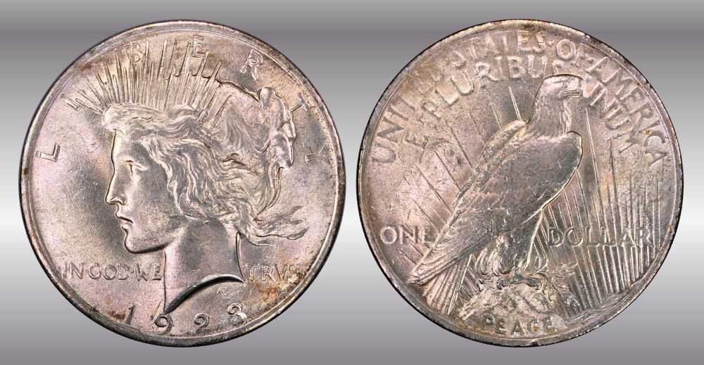 My-Raw-Peace-Dollar-Collection.-.-.-.-Warning!